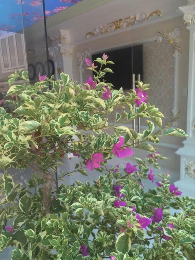 Hotel My Anh Sa Dec Exterior photo
